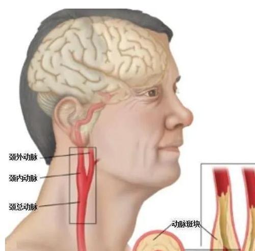 《机动战队饕餮改》机体配装攻略（如何配置的饕餮改配装方案，提升实力战斗）