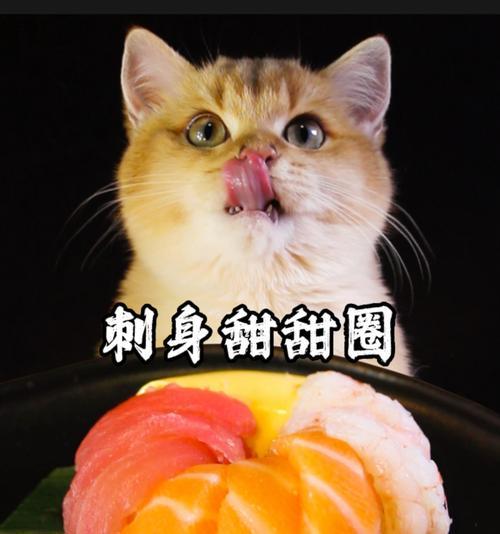 《探索料理次元猫饭的技能属性》（以游戏为主，了解如何料理次元猫饭）