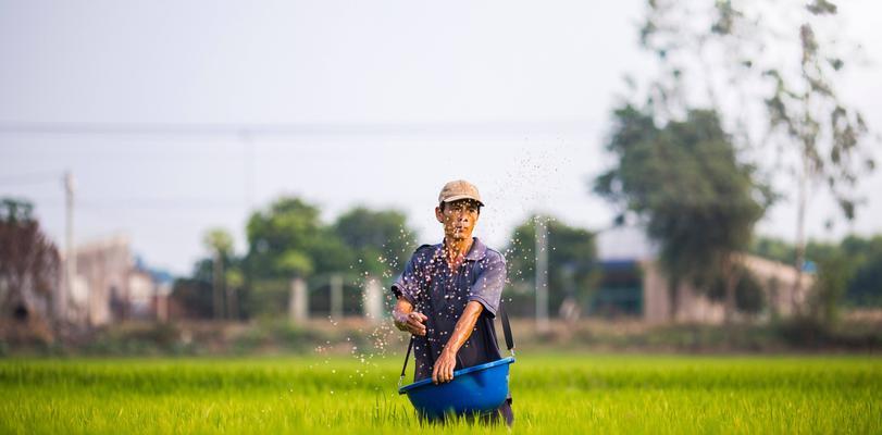 《小森生活》游戏芒种节气之耕耘快乐（在游戏中感受农耕乐趣）