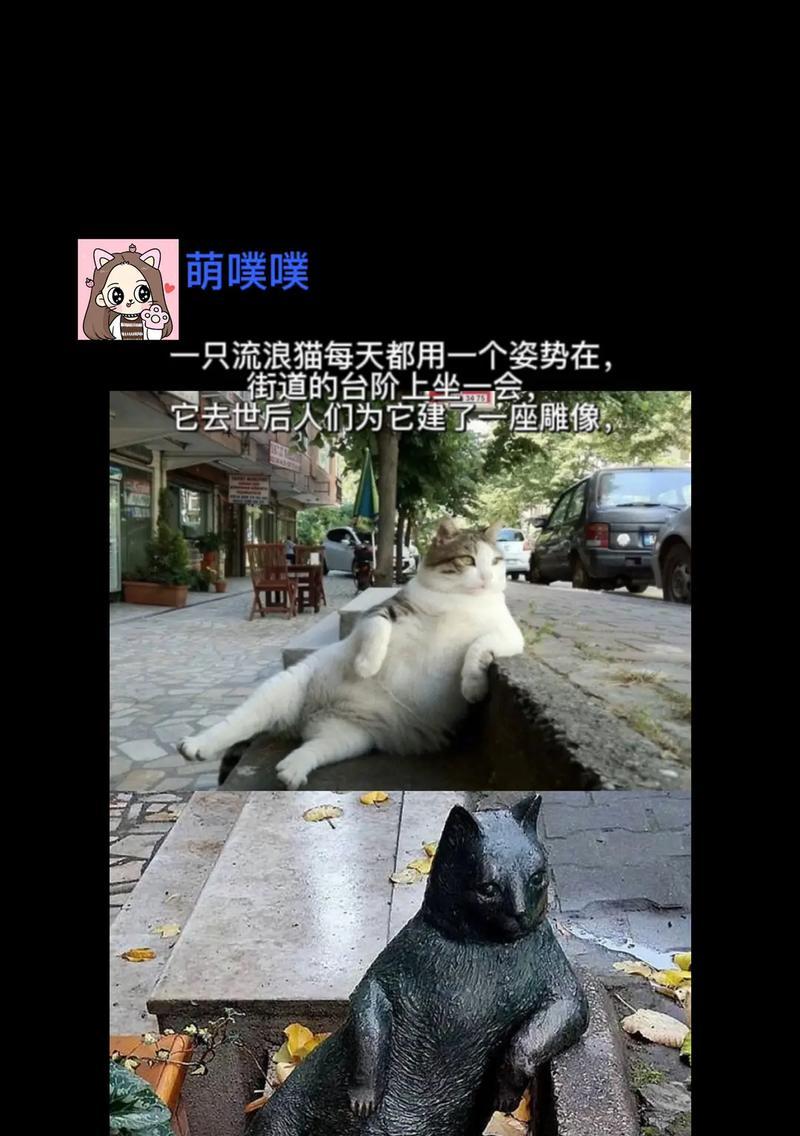 玩转猫的台阶，轻松成为高手（以猫的台阶新手必看攻略为主题）