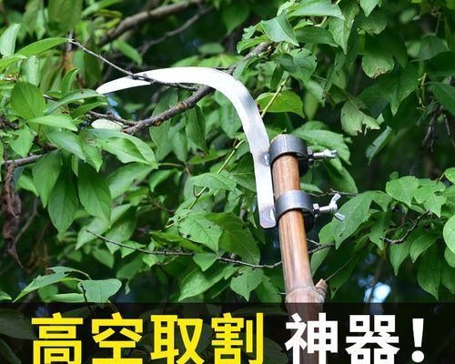 《地下城割草圣魔杖合成指南》（掌握合成技巧）