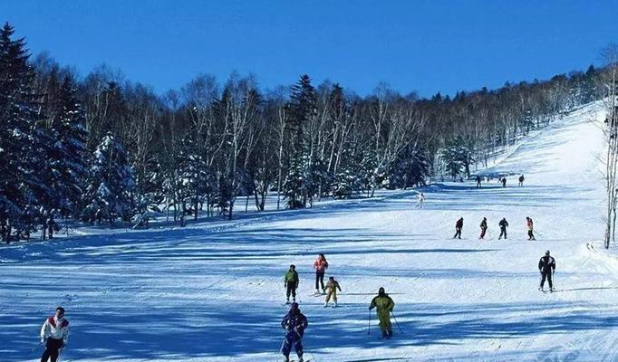 《雪人山滑雪》游戏玩家测评（挑战极限）