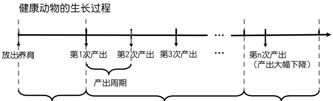 梦幻西游6牧场玩法指南是什么？